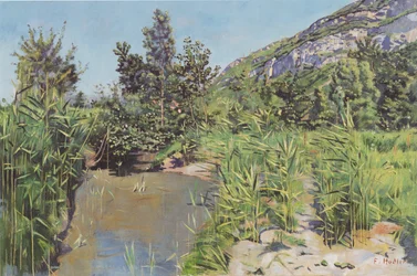 Paisaje de estanque en Veyrier